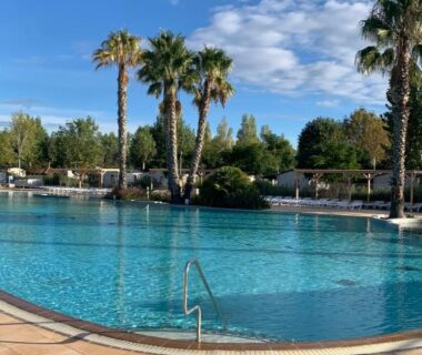 Piscine extérieure bordée de palmiers dans le camping Au Petit Bonheur