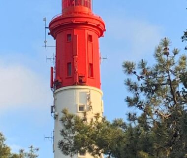 Phare rouge et blanc visible derrière des pins depuis Au viviers camping Siblu sublime bungalow