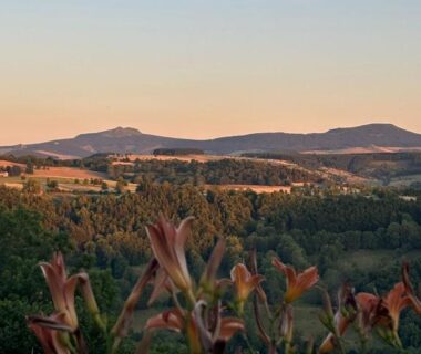 Panorama de collines et fleurs au coucher du soleil à l'Auberge et Camping Sabatoux