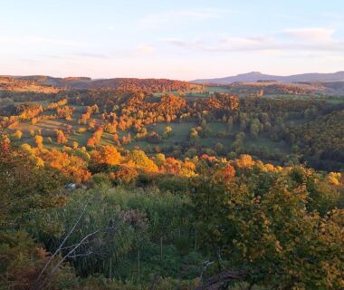 Panorama de collines et forêt automnale à l'Auberge & Camping Sabatoux