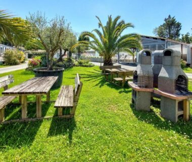 Espace vert avec tables et barbecues au Awesome Stacaravan In Saint-Georges-De-Didon