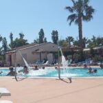Espace piscine avec palmiers et transats au camping Azur072