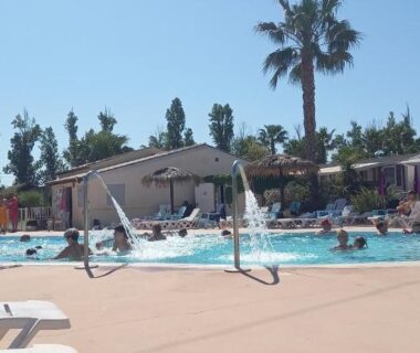 Espace piscine avec palmiers et transats au camping Azur072