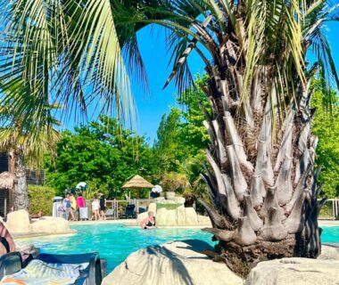 Piscine bordée de palmiers et transats au camping Bisca wifi, plage, piscines à 2 pas, 6 pers avec Vayny