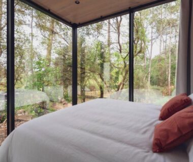 Chambre avec baies vitrées donnant sur la forêt au camping Bonjour Sauvage Seignosse