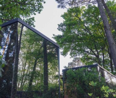Cabines vitrées dans la pinède du camping Bonjour Sauvage Seignosse