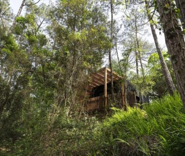 Cabane en bois dans les pins au camping Bonjour Sauvage Seignosse