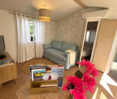 Séjour avec canapé télévision et bouquet de fleurs dans le Bungalow Camping Parc Montana