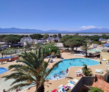Piscine extérieure avec palmier et transats face à la mer au Bungalow Cinéric Nouveau 2026