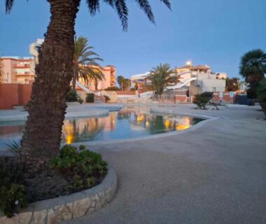 Bord de piscine et palmiers au Bungalow Cinéric Nouveau 2026
