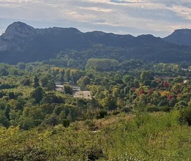 Paysage vallonné avec collines et montagnes en arrière-plan au Bungalow du camping la Berge fleurie