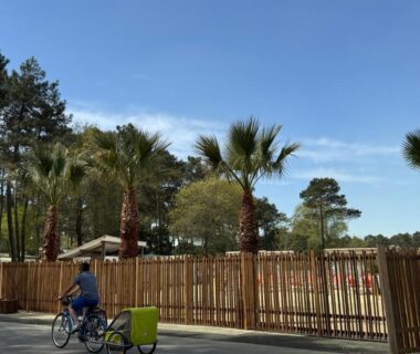 Allée bordée de palmiers et clôture en bois au Bungalow du bassin