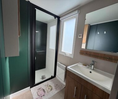 Salle de bain avec cabine de douche et lavabo dans le Bungalow jardin les Viviers cap-ferret