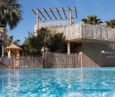 Piscine entourée de palmiers au Bungalow la toison d or plage de Pampelonne Saint TROPEZ 4D05