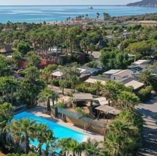 Piscine entourée de palmiers avec vue mer au Bungalow la toison d or plage de Pampelonne Saint TROPEZ 4D05