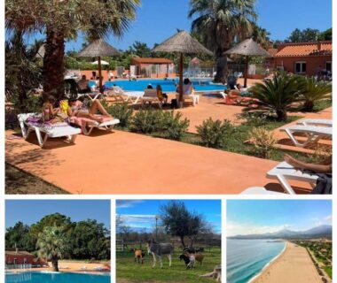 Piscine extérieure avec transats et parasols au Camping Le Clos du Thym