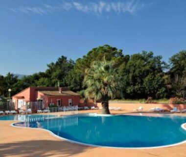 Piscine extérieure avec palmiers et transats au Camping Le Clos du Thym