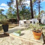Terrasse en bois avec table et pots sous les pins au camping Les EMBRUNS