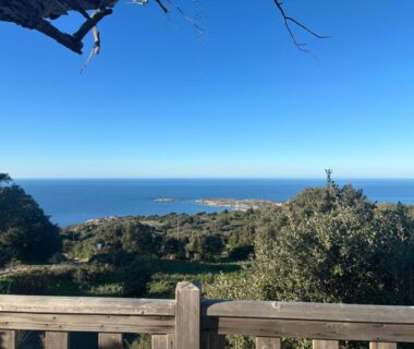 Terrasse boisée avec vue sur la mer au Camping Monte Ortu