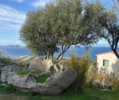 Côte et oliviers avec maison au Camping Monte Ortu