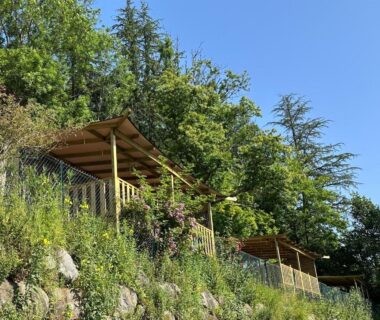 Terrasses en bois sur la colline au Camping Plein Soleil