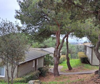 Extérieur de chalets parmi les arbres avec vue sur la mer du CHALET 35m2 climatisé 2 chambres vue mer