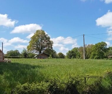 Prairie avec petite cabane en bois et maison dans le camping Cabane Les Pourettes