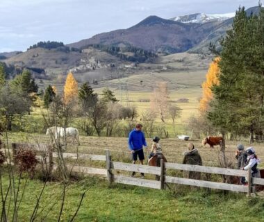 Prairie et chevaux avec randonneurs près de la Cabane randonneur au camping