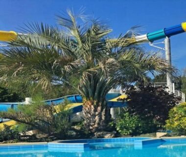 Piscine avec toboggans et palmier au Camping 4 étoiles - Parc aquatique - ccbbiei
