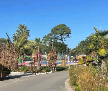 Allée paysagée avec palmiers et piscine au Camping 4 etoiles les viviers lege cap ferret