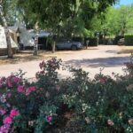 Allée ombragée avec tentes et massifs fleuris au Camping Au Lac d'Hautibus