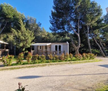 Allée avec mobil-home entouré de pins au Camping Aux Portes De Cassis
