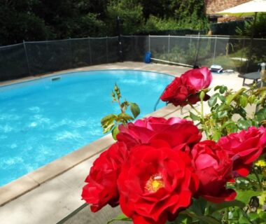 Piscine entourée de rosiers rouges au Camping Belle Vue