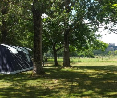 Emplacement ombragé avec tente et pelouse au Camping Belle Vue