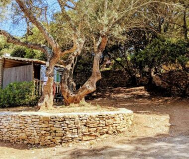Mobil-home ombragé sous les arbres au Camping Campo Di Liccia - Maeva