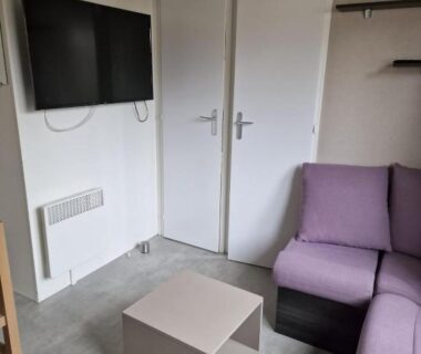 Salon avec canapé violet et télévision dans l'hébergement du Camping Carabasse Vias plage