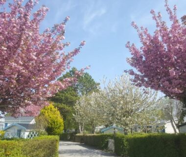 Camping Caravaning Les Cerisiers Berck sur mer