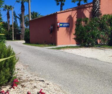 Allée du camping bordée de palmiers et bâtiment laverie au Camping DEL MAR