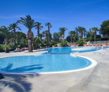 Piscine extérieure avec palmiers au Camping DEL MAR Mobil-home 3 ch dont suite parentale ARGELES sur MER