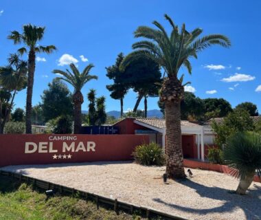Entrée du camping avec palmiers et panneau du Camping Del Mar