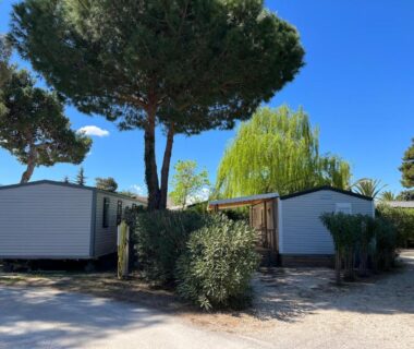 Allée entre mobil homes sous pins au mobil home Petit Paradis du Camping Del Mar Village