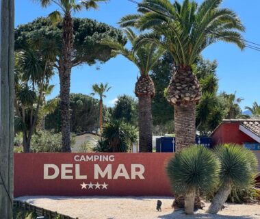 Entrée avec panneau et palmiers au Camping Del Mar