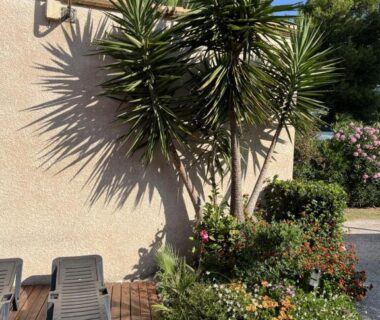 Terrasse avec transats et yuccas au Camping Del Mar 260