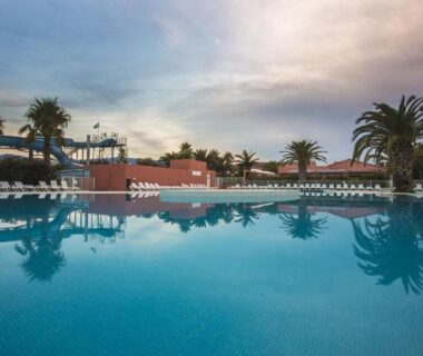 Piscine extérieure bordée de palmiers au Camping Del Mar 64