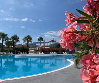 Bord de piscine avec palmiers et fleurs au Camping Del Mar 64