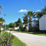 Allée du camping avec mobil-homes et palmiers au Mobile Home Excellence du Camping Del Mar B06