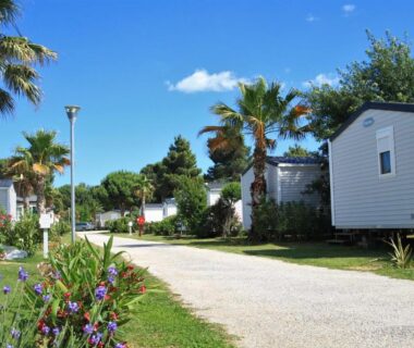 Allée du camping avec mobil-homes et palmiers au Mobile Home Excellence du Camping Del Mar B06