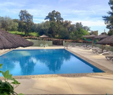 Piscine extérieure bordée de parasols et transats du Camping Des Mimosas