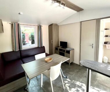 Salon avec canapé table et télévision dans le Camping Des Mimosas