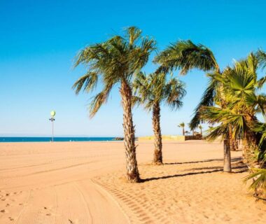 Plage bordée de palmiers et mer au Camping Domaine la Yole